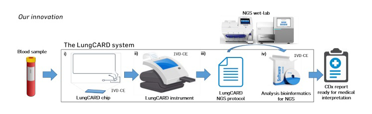 What is lungcard rise